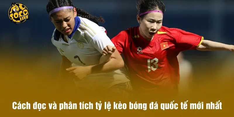 Cách đọc và phân tích tỷ lệ kèo bóng đá quốc tế mới nhất