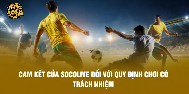 Cam kết của Socolive đối với quy định chơi có trách nhiệm