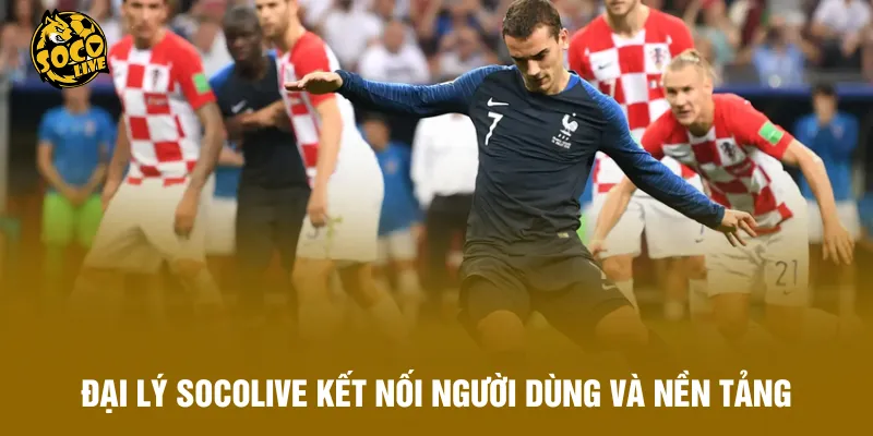 Đại lý Socolive kết nối người dùng và nền tảng