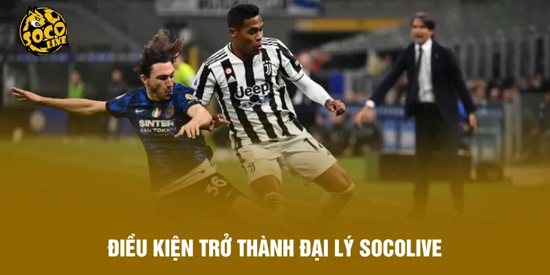 Điều kiện trở thành đại lý Socolive