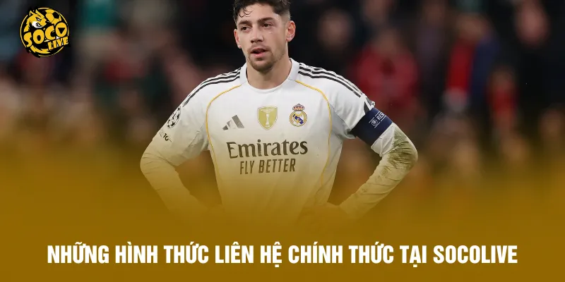 Những hình thức liên hệ chính thức tại Socolive