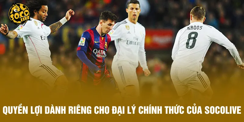 Quyền lợi dành riêng cho đại lý chính thức của Socolive