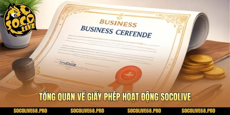 Tổng quan về giấy phép hoạt động Socolive